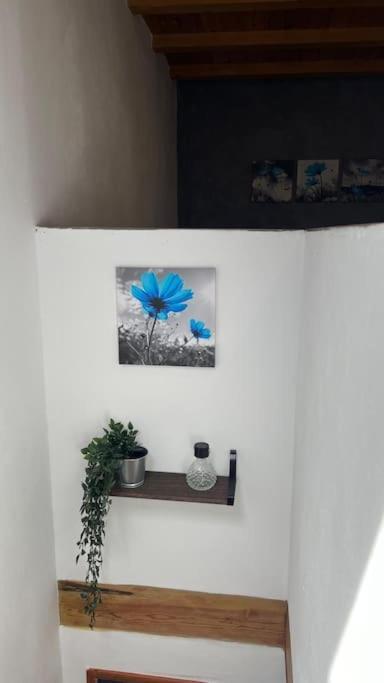 Ca La Trini Vivienda Vacacional Nava Exteriör bild